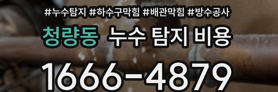 청량동 누수 탐지 비용