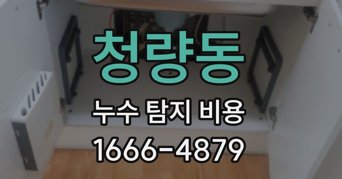 청량동 누수 탐지 비용