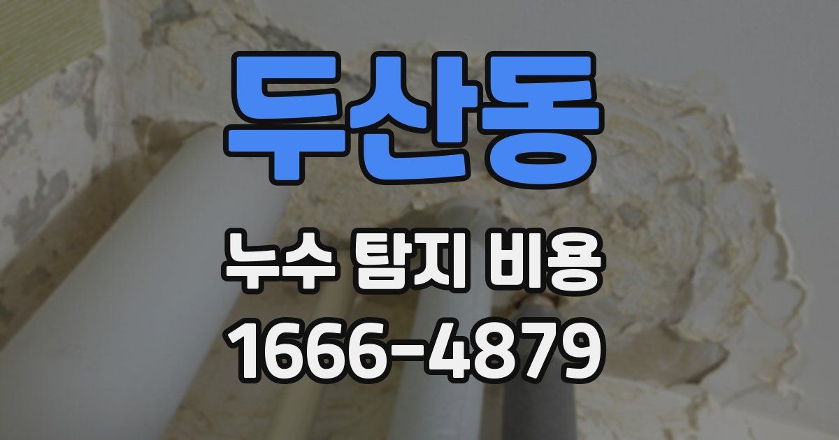 두산동 누수 탐지 비용