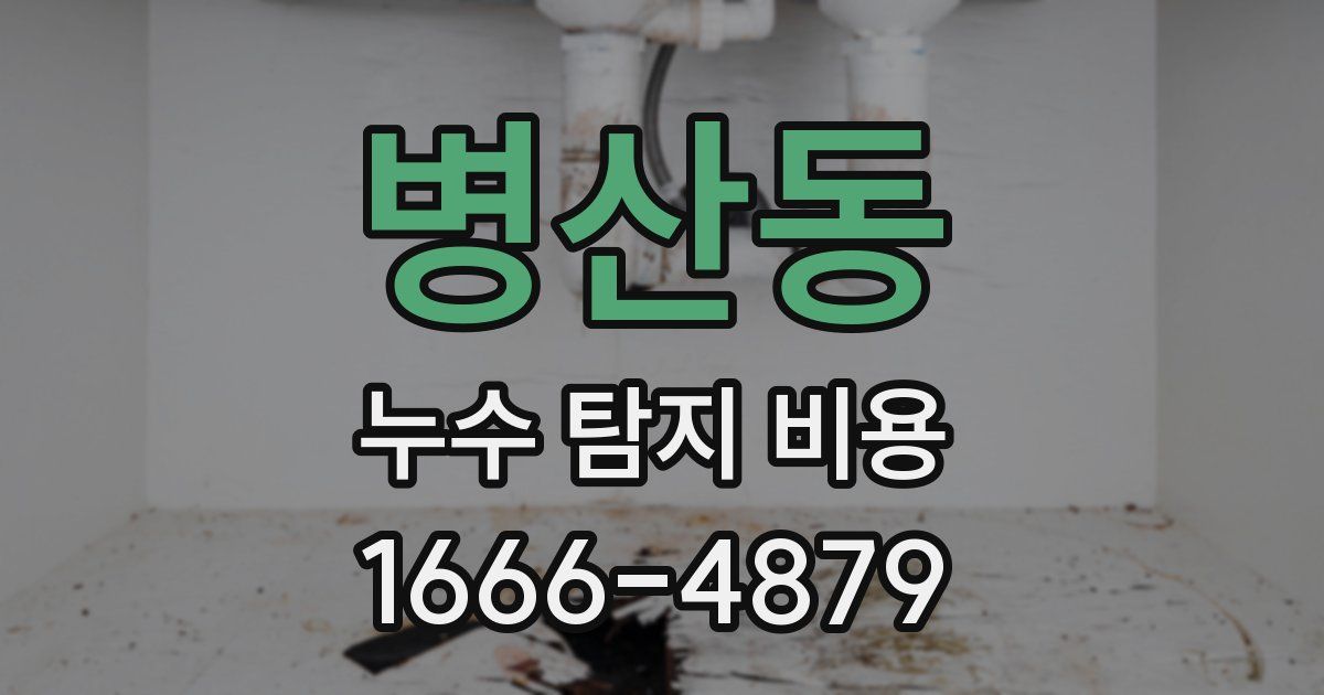 병산동 누수 탐지 비용