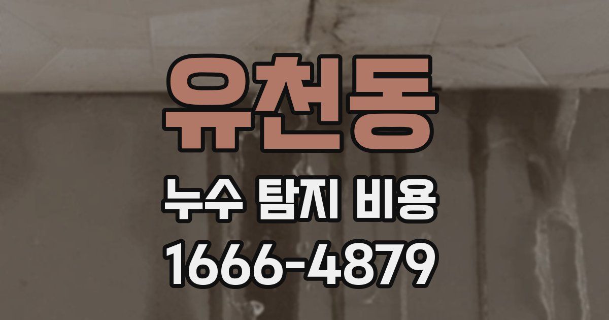 유천동 누수 탐지 비용