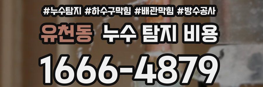 유천동 누수 탐지 비용