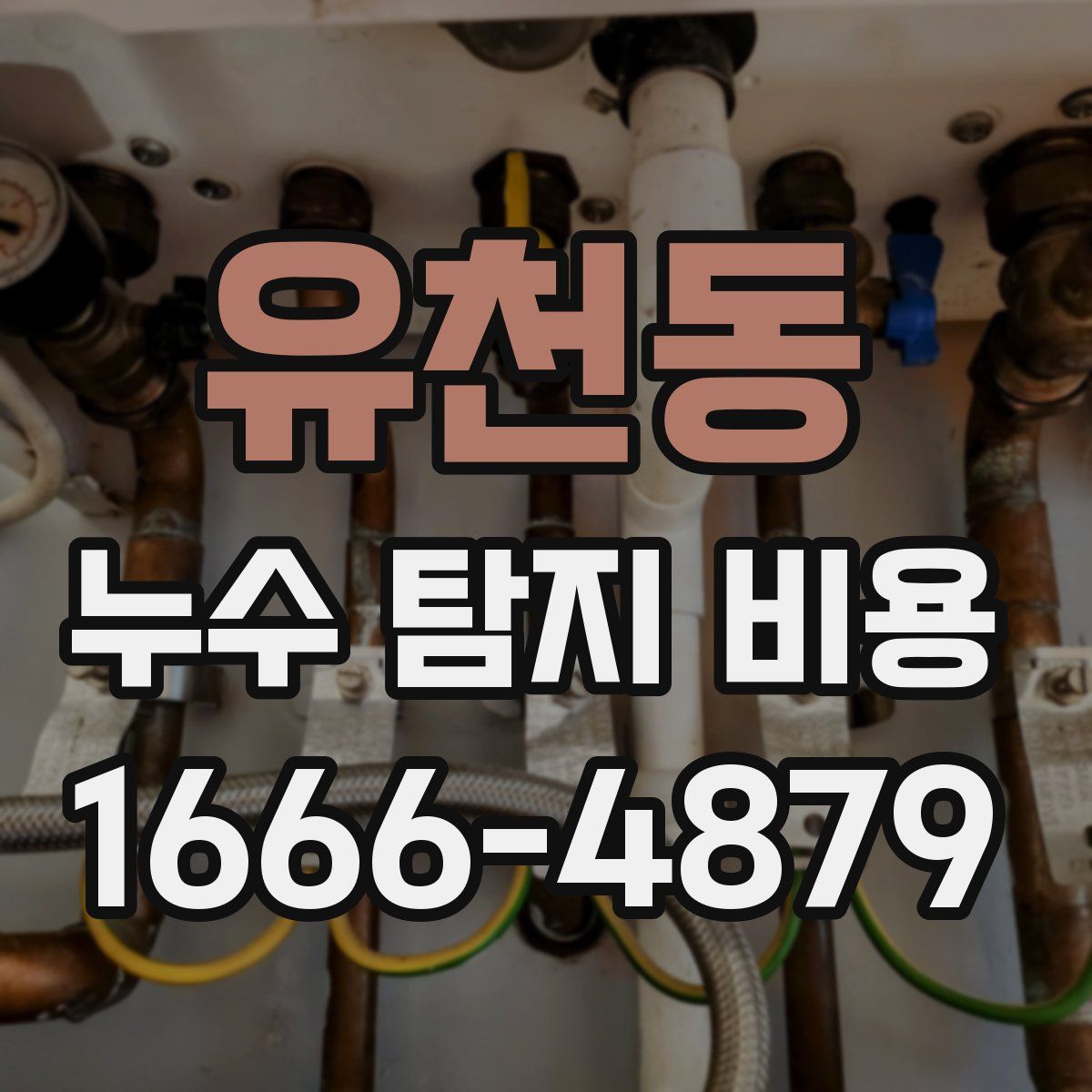 유천동 누수 탐지 비용