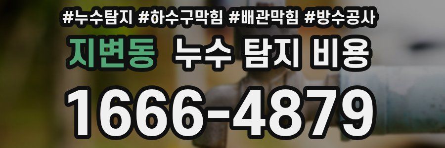 지변동 누수 탐지 비용