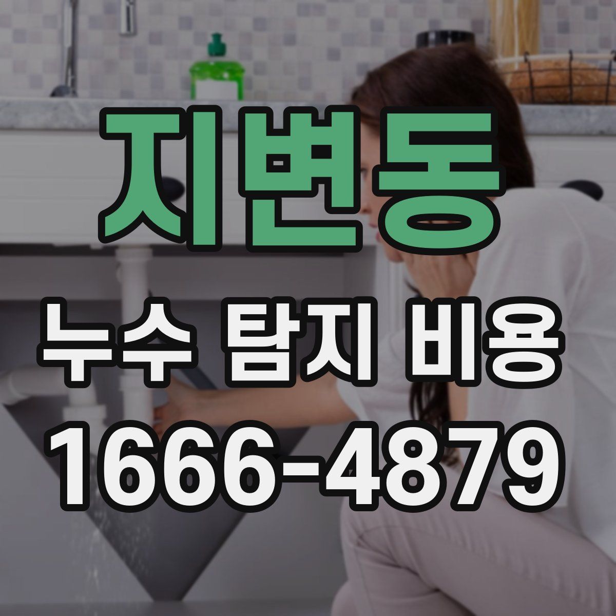지변동 누수 탐지 비용