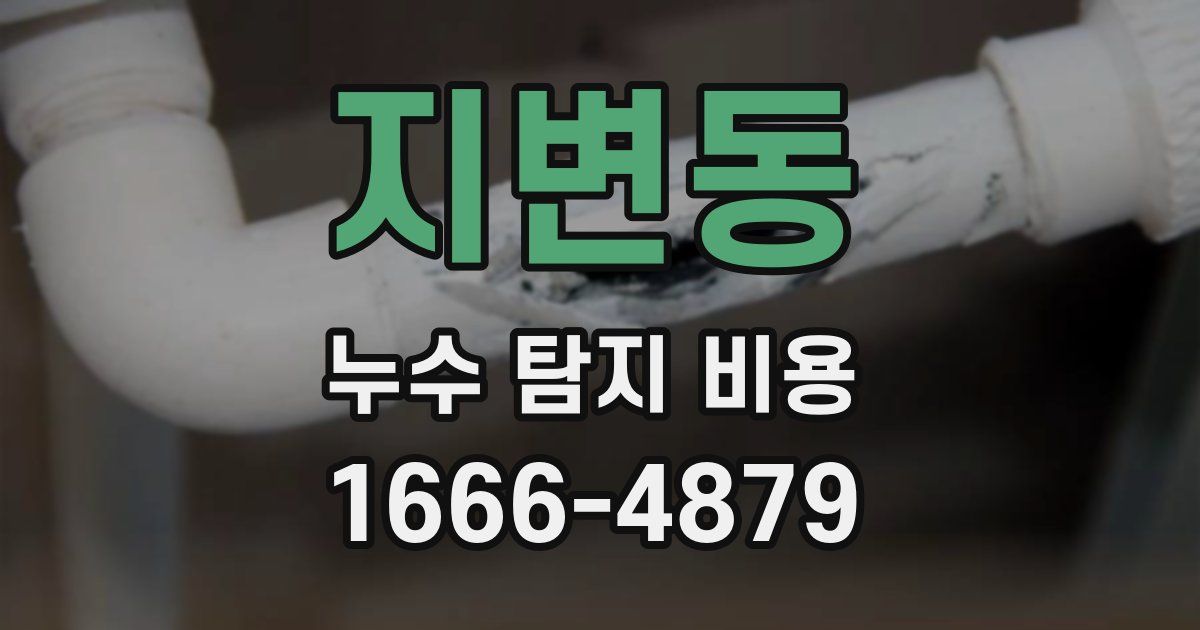 지변동 누수 탐지 비용