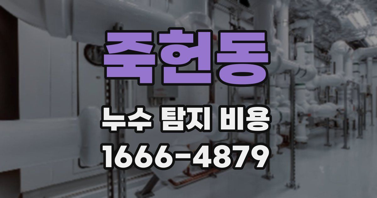 죽헌동 누수 탐지 비용