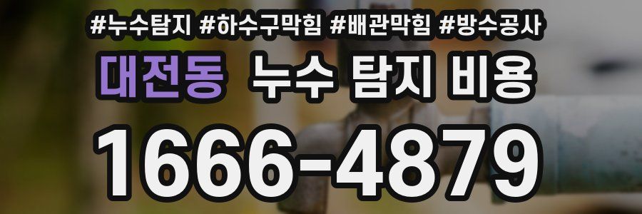 대전동 누수 탐지 비용