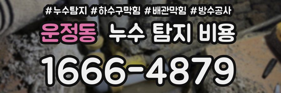 운정동 누수 탐지 비용