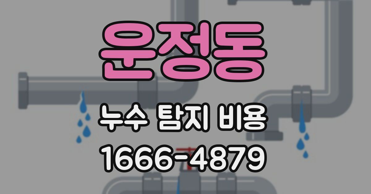 운정동 누수 탐지 비용