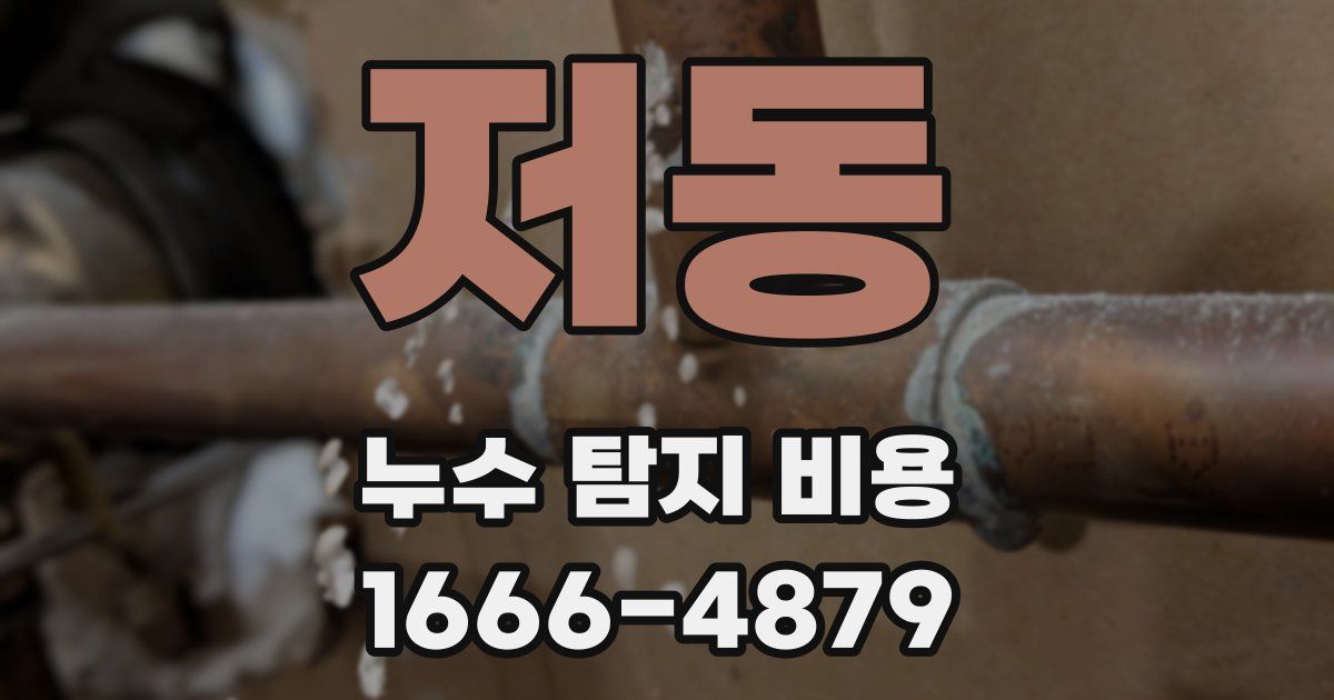 저동 누수 탐지 비용