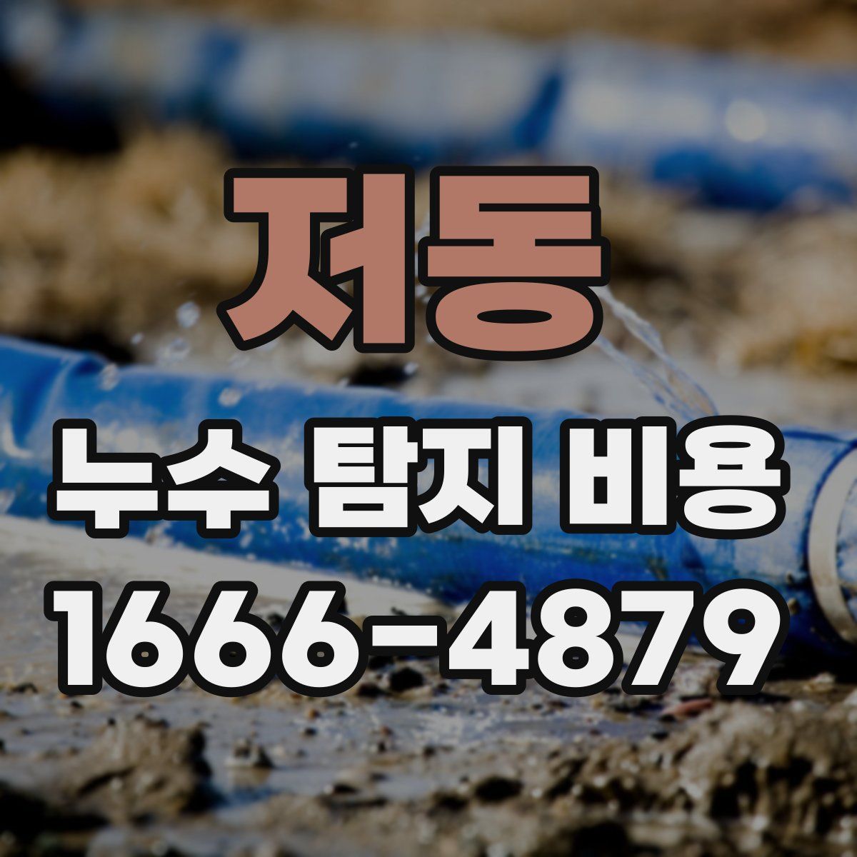 저동 누수 탐지 비용