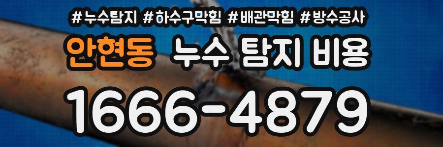 안현동 누수 탐지 비용