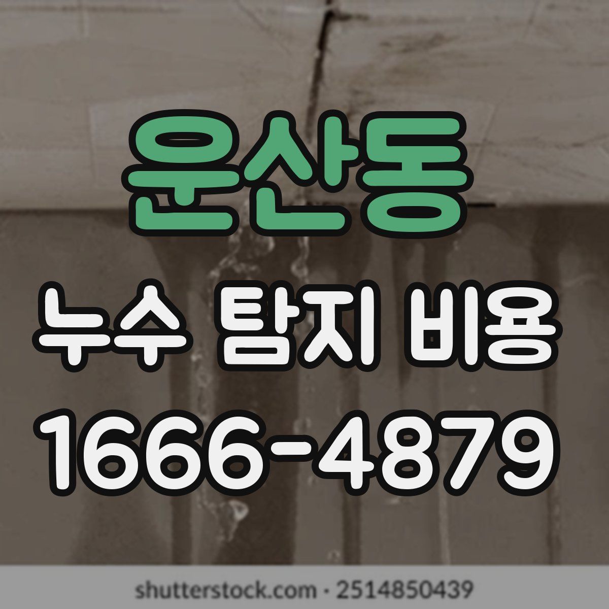 운산동 누수 탐지 비용