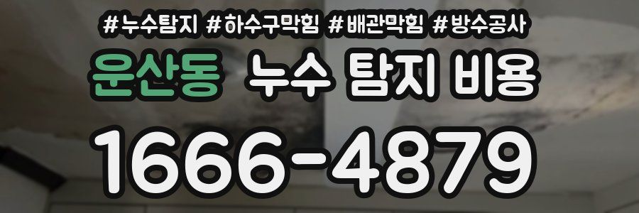 운산동 누수 탐지 비용