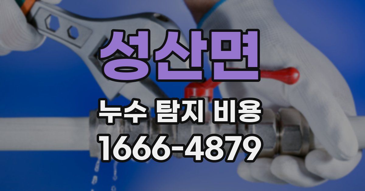 성산면 누수 탐지 비용