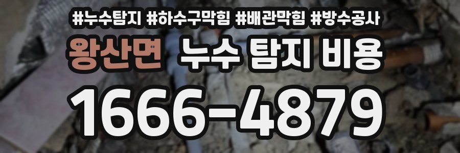 왕산면 누수 탐지 비용