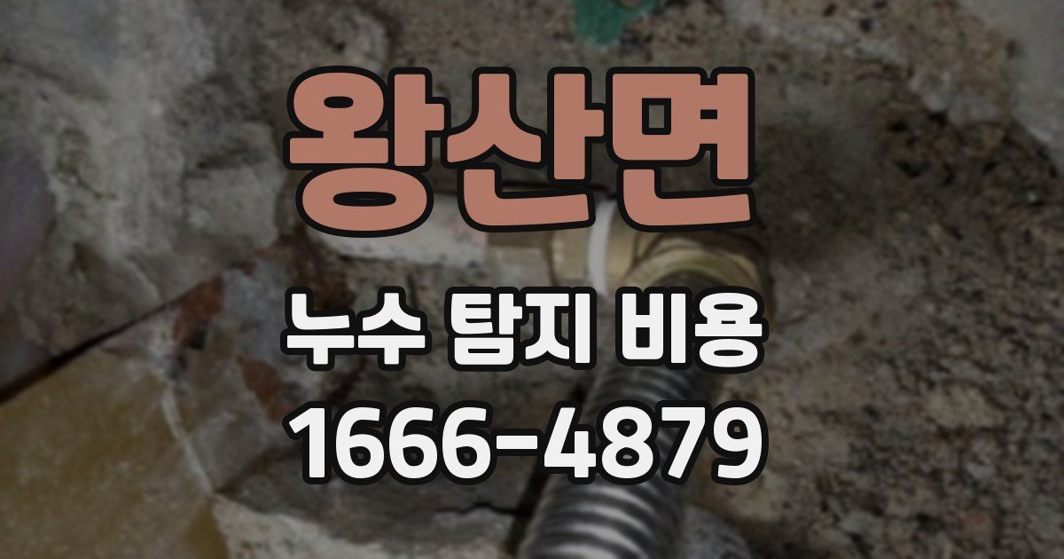 왕산면 누수 탐지 비용