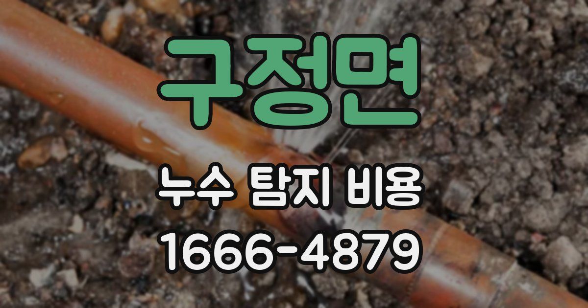 구정면 누수 탐지 비용
