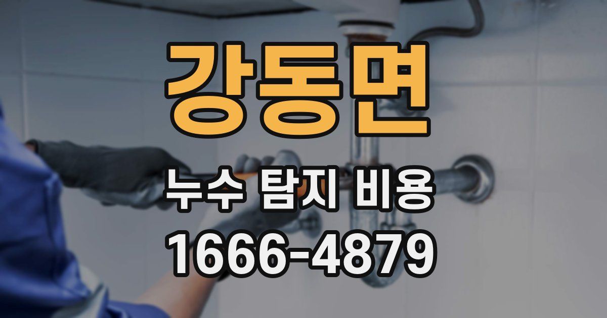 강동면 누수 탐지 비용