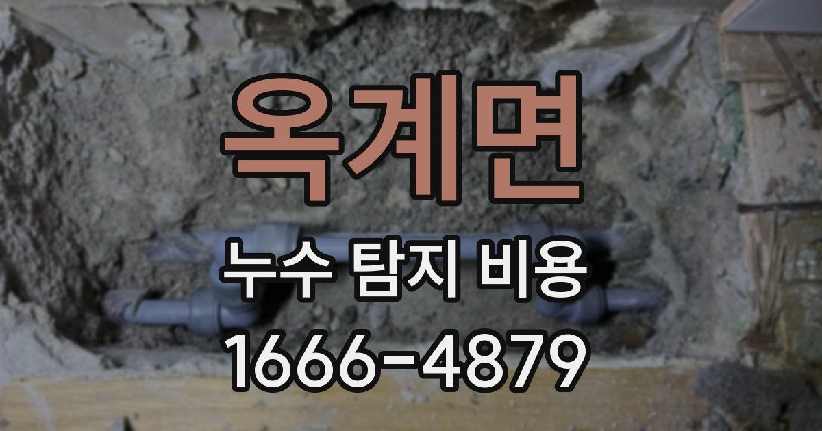 옥계면 누수 탐지 비용