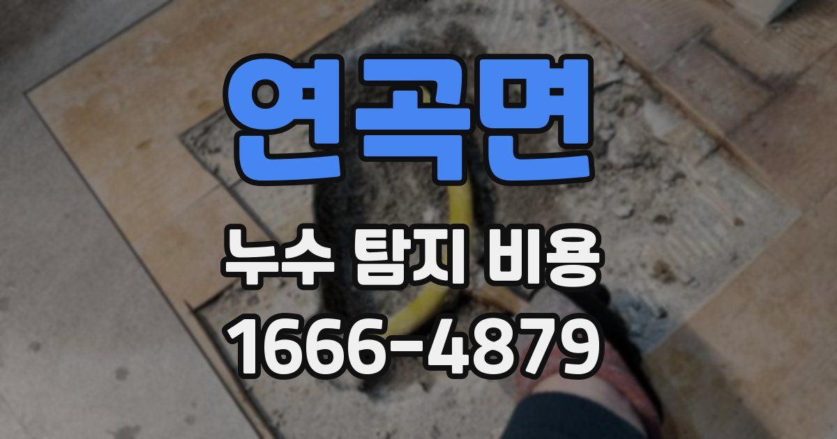 연곡면 누수 탐지 비용