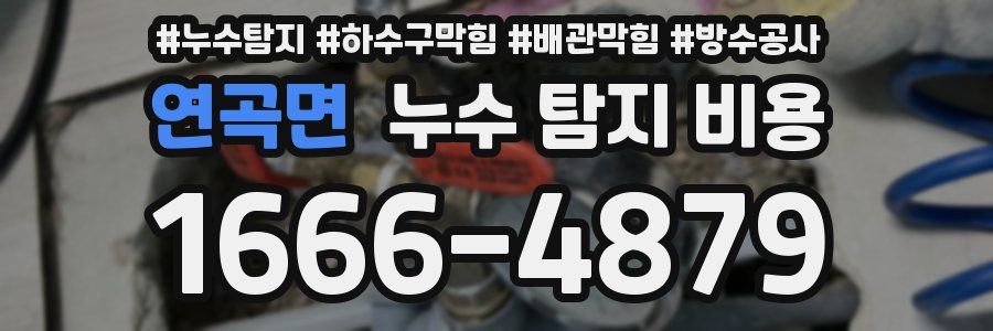 연곡면 누수 탐지 비용