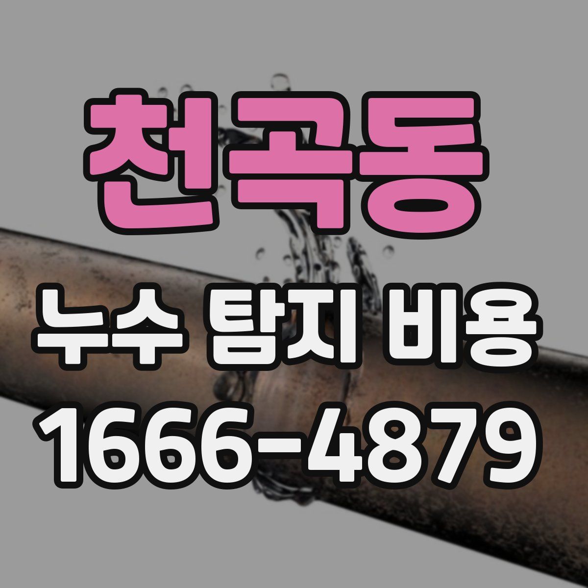 천곡동 누수 탐지 비용