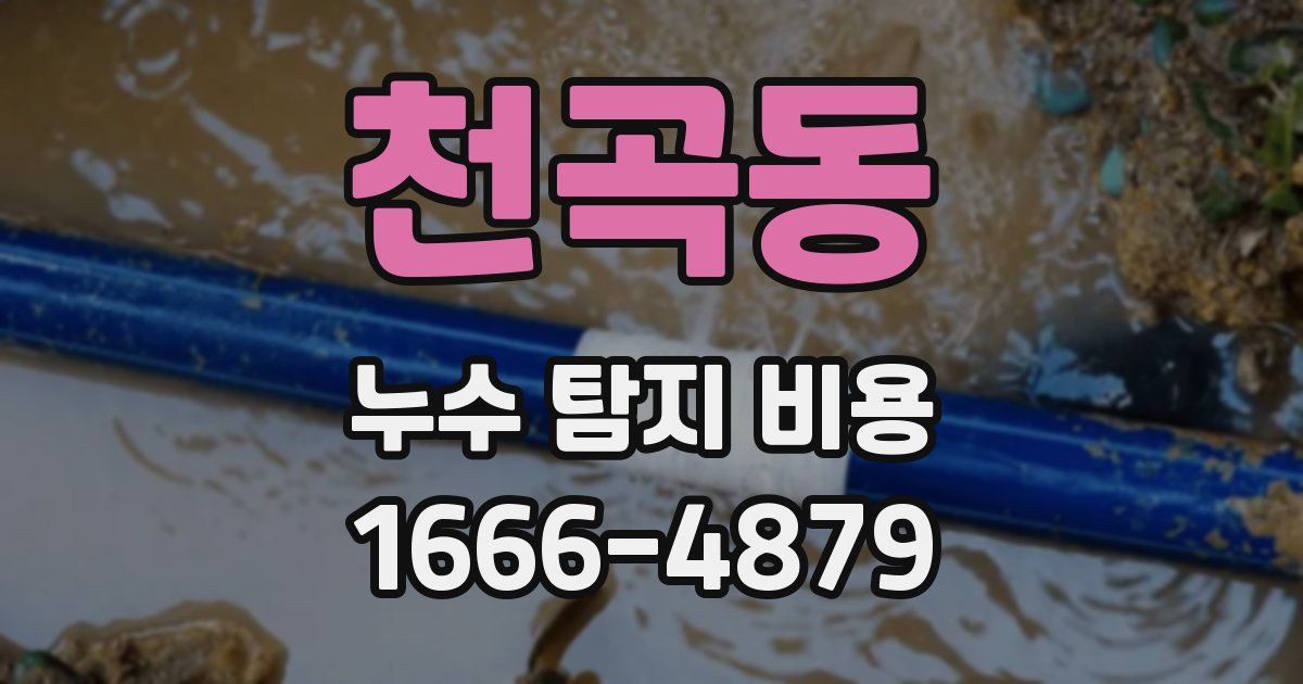 천곡동 누수 탐지 비용