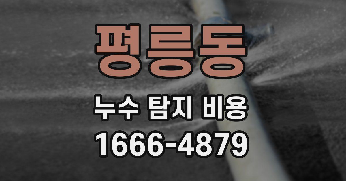 평릉동 누수 탐지 비용