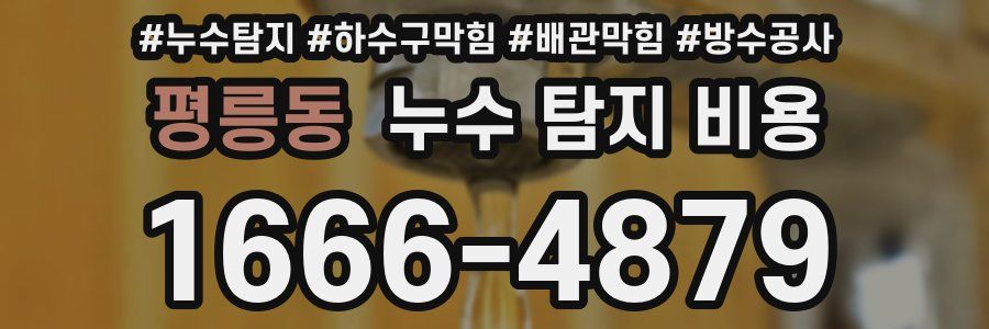 평릉동 누수 탐지 비용
