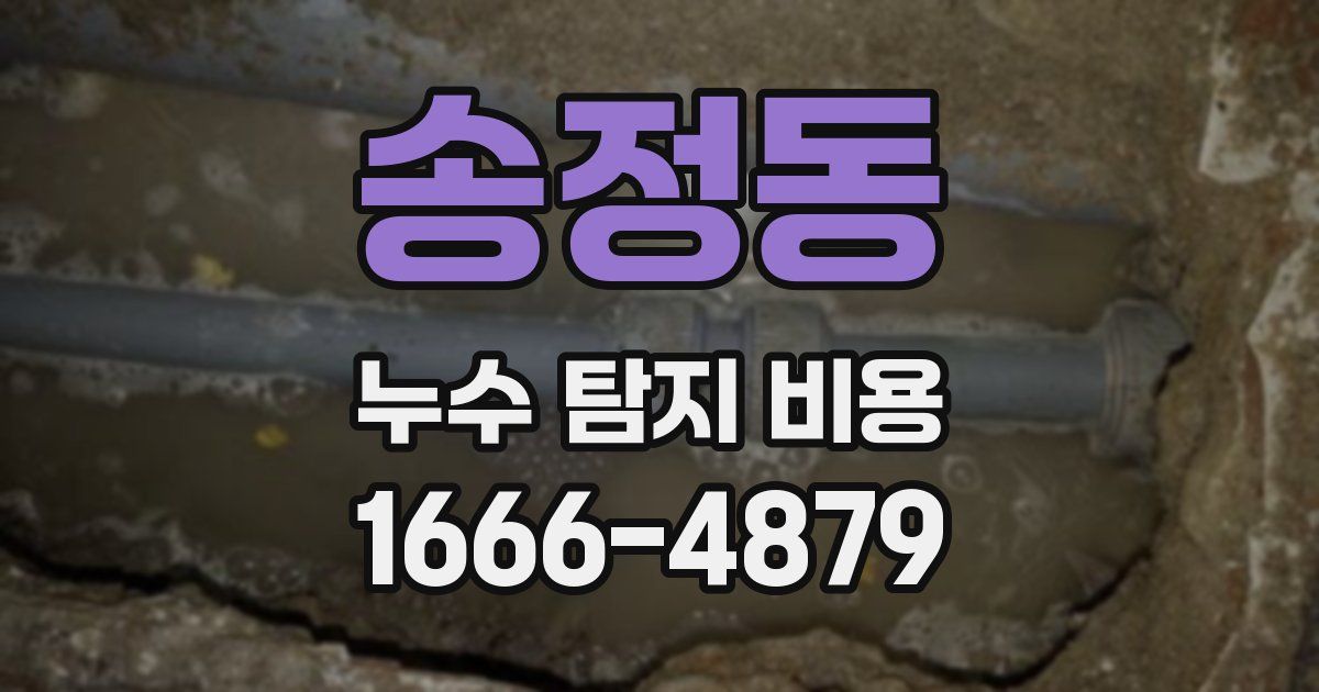 송정동 누수 탐지 비용