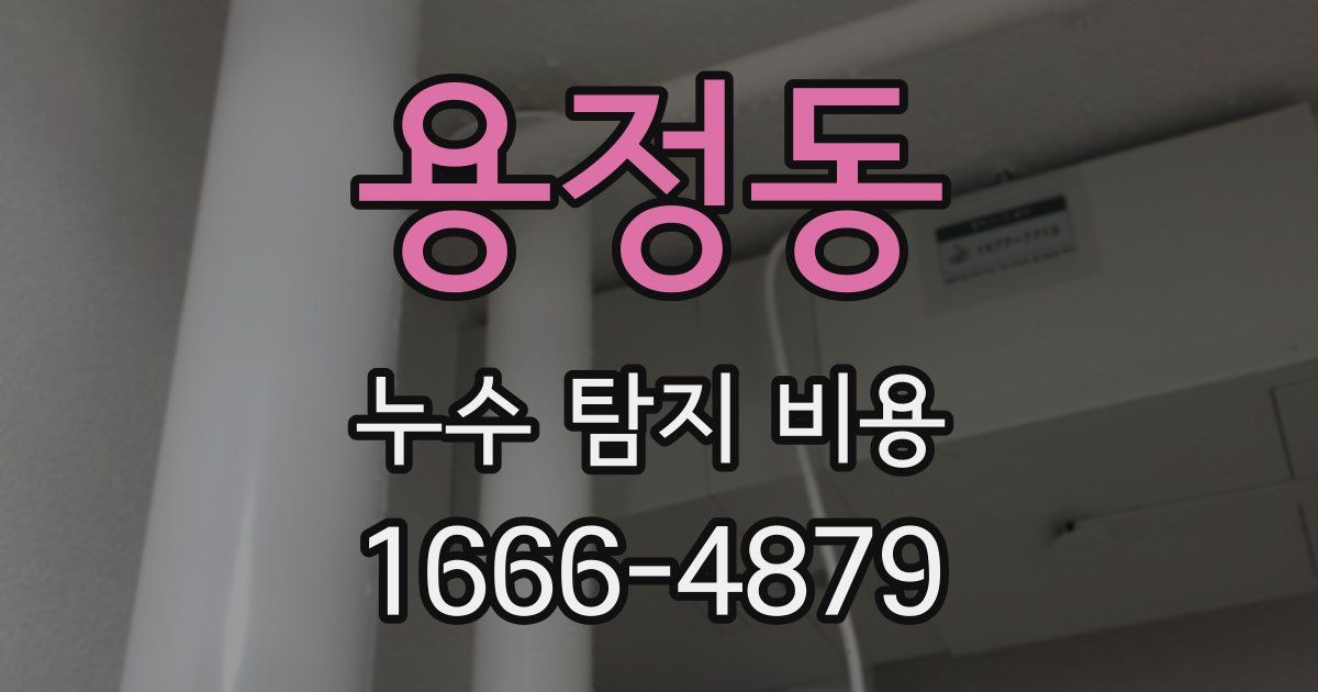 용정동 누수 탐지 비용