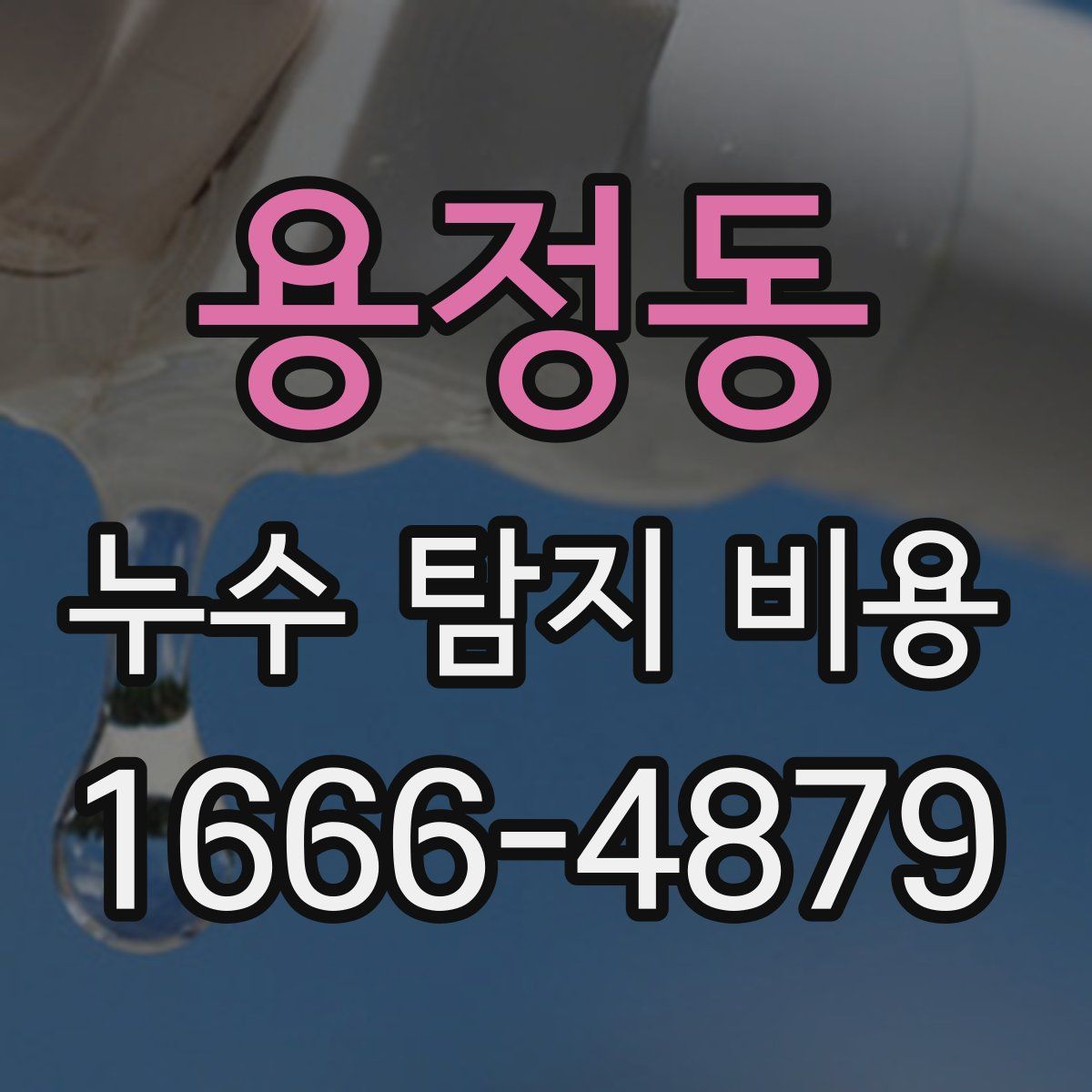 용정동 누수 탐지 비용