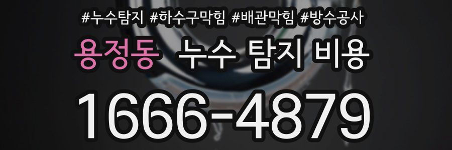 용정동 누수 탐지 비용