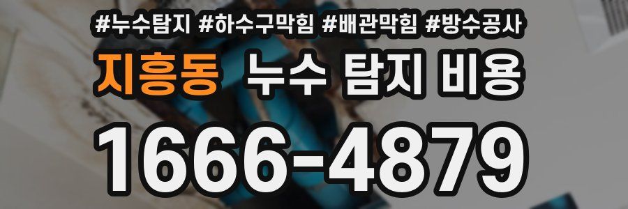 지흥동 누수 탐지 비용