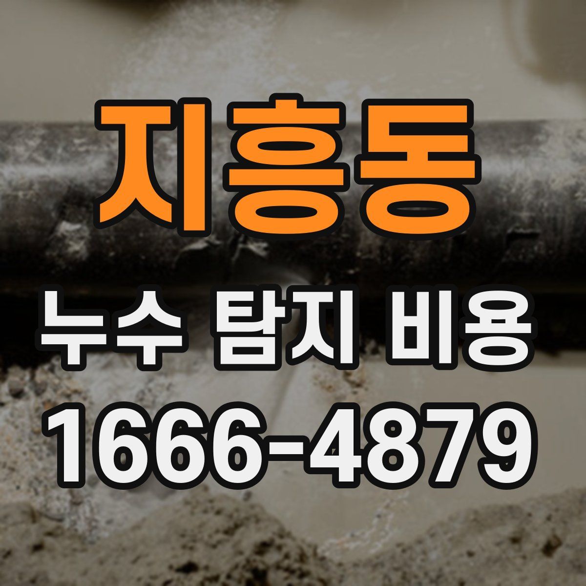 지흥동 누수 탐지 비용