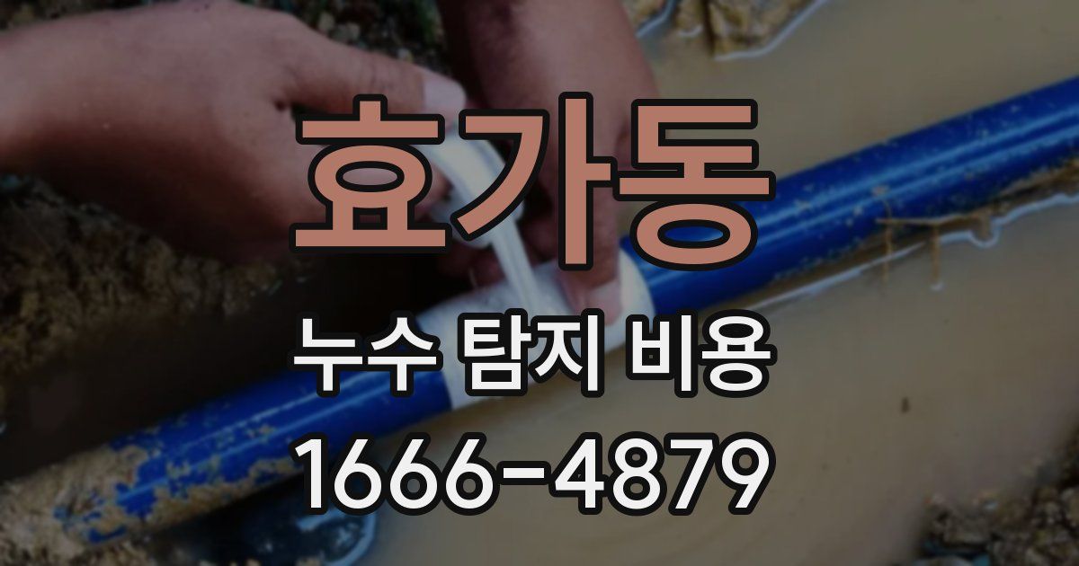 효가동 누수 탐지 비용