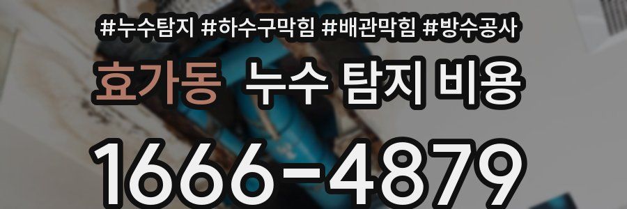 효가동 누수 탐지 비용