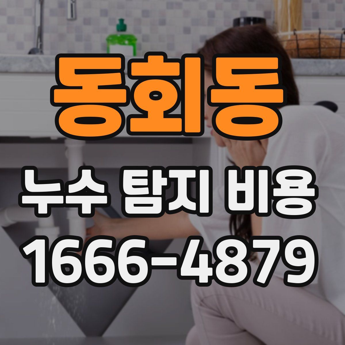 동회동 누수 탐지 비용