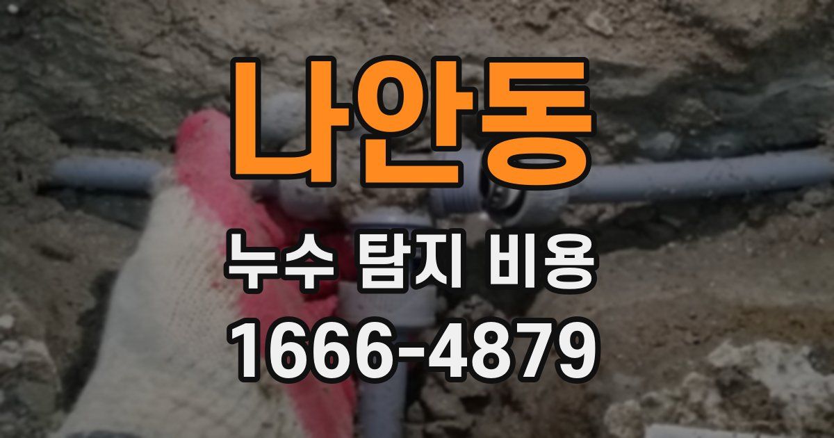 나안동 누수 탐지 비용