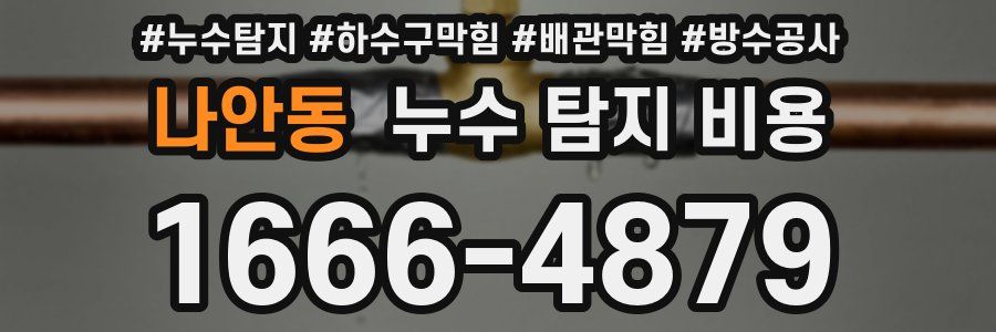 나안동 누수 탐지 비용