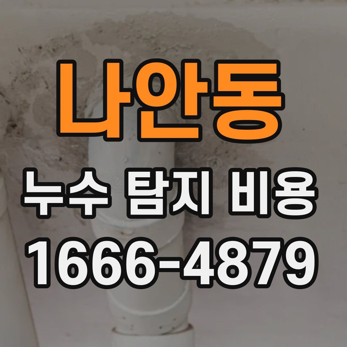 나안동 누수 탐지 비용