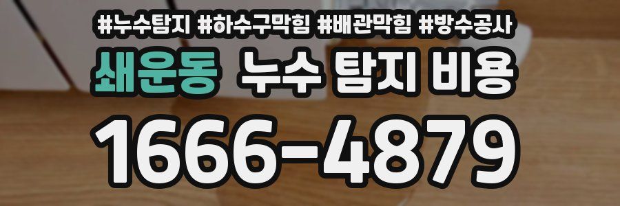 쇄운동 누수 탐지 비용