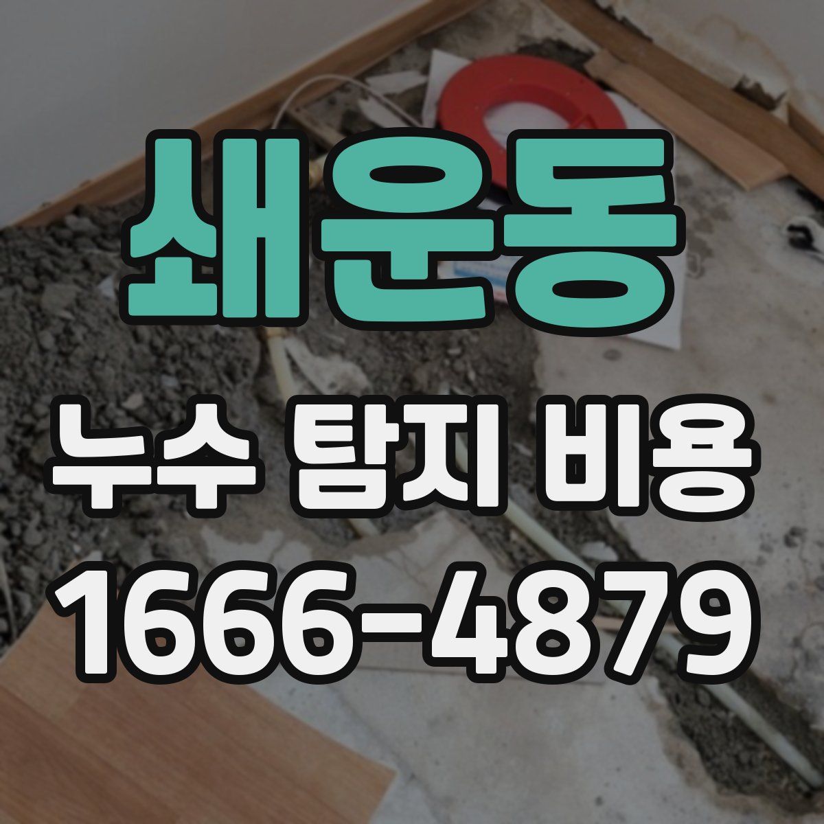 쇄운동 누수 탐지 비용