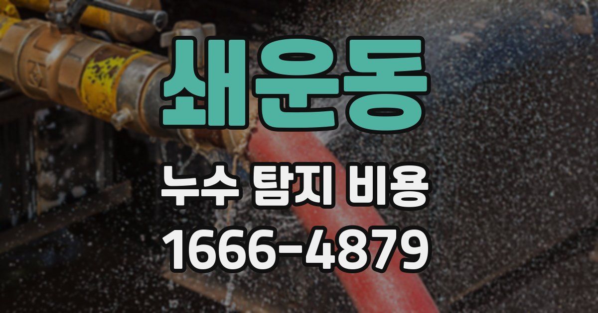 쇄운동 누수 탐지 비용
