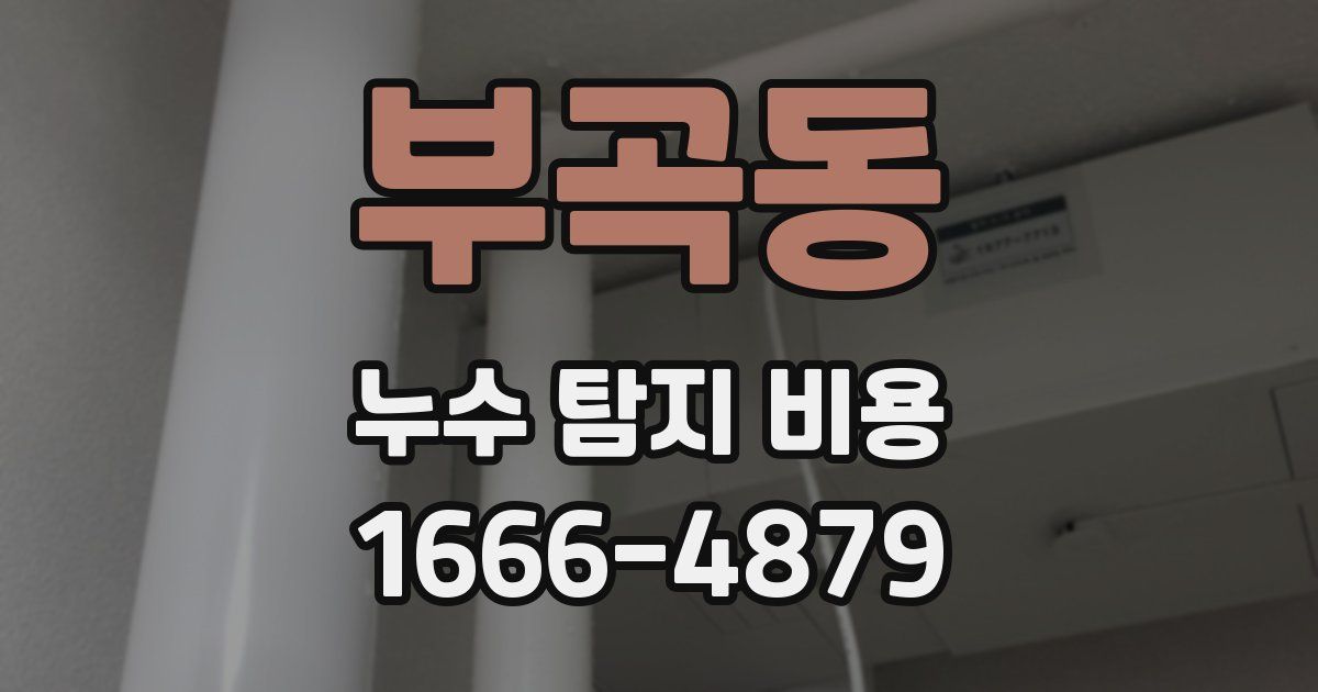 부곡동 누수 탐지 비용