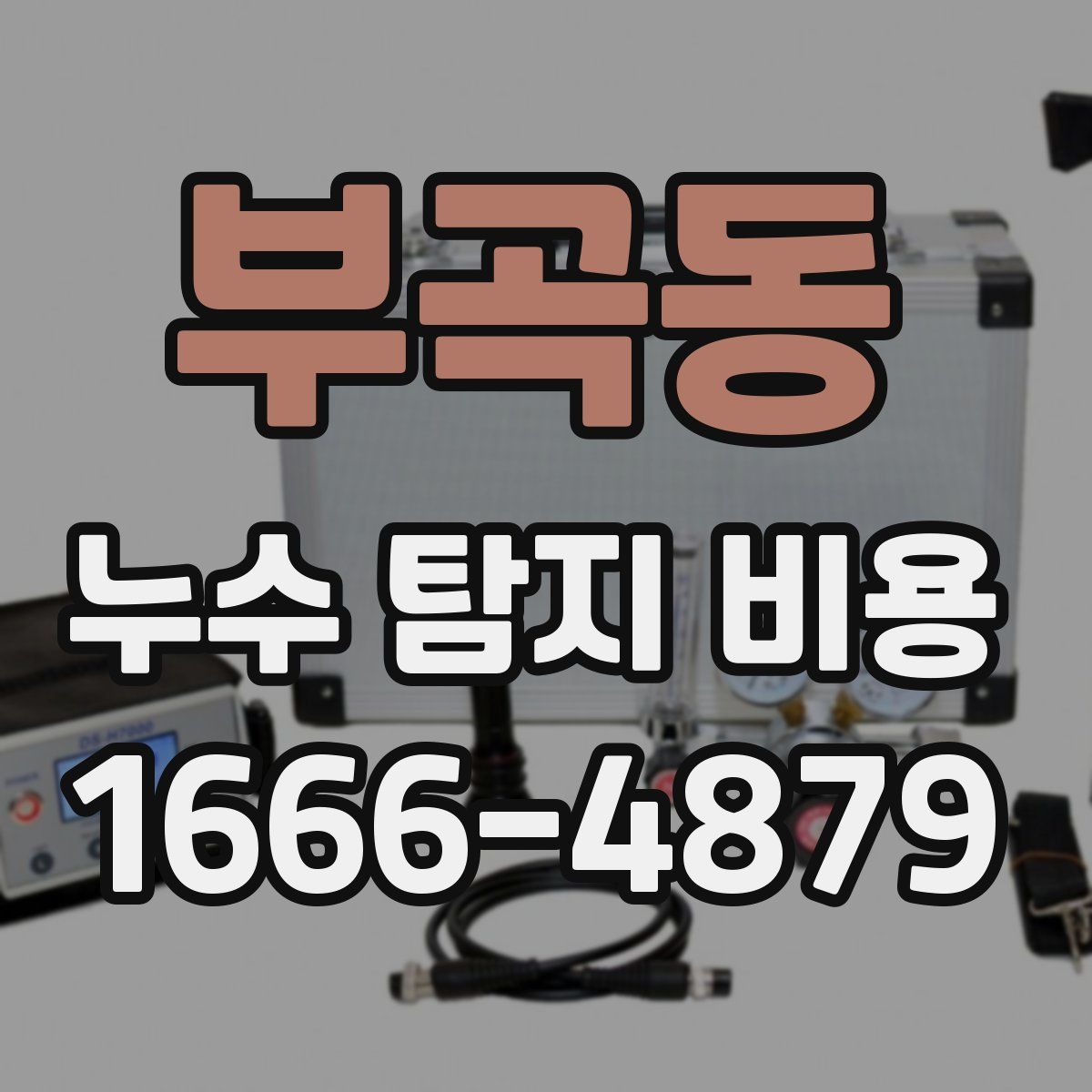 부곡동 누수 탐지 비용