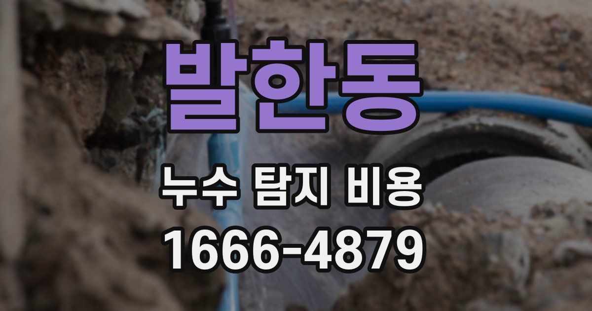 발한동 누수 탐지 비용