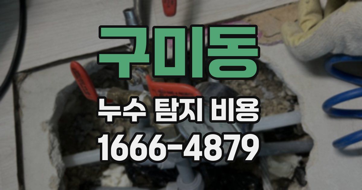 구미동 누수 탐지 비용